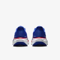 Tennessee State Pegasus 41 мужские Nike College Road Running Кроссовки синий