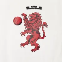 Nike LeBron мужские Max90 футболка цвет серый