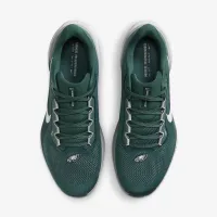Nike Pegasus 41 NFL Philadelphia Eagles чоловічі Road Running Кросівки колір зелений