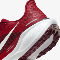 Nike Pegasus 41 NFL Arizona Cardinals мужские Road Running Кроссовки цвет красный