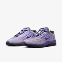 Nike SB Vertebrae мужские Кроссовки цвет фиолетовый