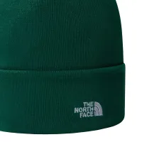 Шапка The North Face Norm 0A5FW1NL11 - зеленая
