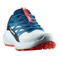 Кроссовки для бега Мужские SALOMON ALPHAGLIDE (477243)