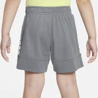 Nike Dri-FIT Elite Toddler шорты цвет серый