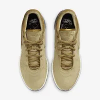 Nike LeBron XXI баскетбольні Кросівки колір коричневий