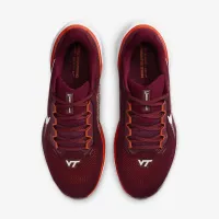 Virginia Tech Pegasus 41 мужские Nike College Road Running Кроссовки цвет красный
