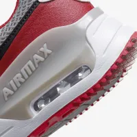 Nike College Air Max SYSTM (Ohio State) мужские Кроссовки цвет серый