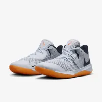 Nike Zoom Hyperspeed Court SE волейбольные Кроссовки многоцветный