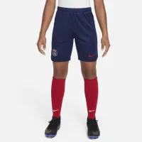 Paris Saint-Germain 2023/24 Stadium Home/Away Big дитячі Nike Dri-FIT Soccer шорти блакитний