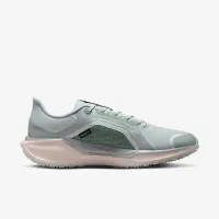 Nike Pegasus 41 GORE-TEX мужские Waterproof Road Running Кроссовки цвет серый