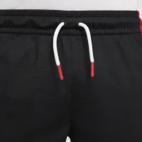 Nike Jordan Big дитячі Sport шорти колір чорний