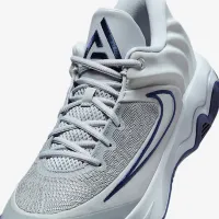 Nike Giannis Immortality 4 баскетбольные Кроссовки цвет серый