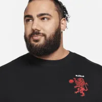 Nike LeBron мужские Max90 футболка цвет черный