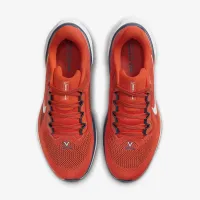 Virginia Pegasus 41 мужские Nike College Road Running Кроссовки Orange