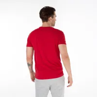 Футболка Alpha Industries Basic T Small Logo 188505328 - Красная