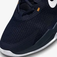 Nike Air Max Alpha Trainer 5 чоловічі для тренування Кросівки блакитний