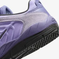 Nike SB Vertebrae мужские Кроссовки цвет фиолетовый