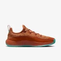 Nike LeBron TR 1 чоловічі для тренування Кросівки колір коричневий