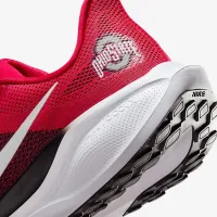 Ohio State Pegasus 41 чоловічі Nike College Road Running Кросівки колір червоний