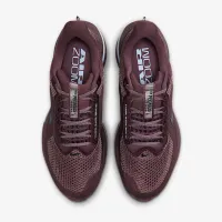 Nike Pegasus Premium женская Road Running Кроссовки цвет фиолетовый