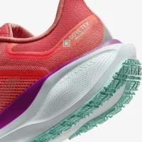 Nike Pegasus 41 GORE-TEX мужские Waterproof Road Running Кроссовки цвет красный