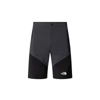Шорты Мужские The North Face Felik 0A825X4JK1 - серо-черные