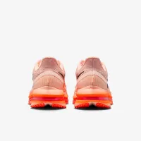 Nike Pegasus Premium мужские Road Running Кроссовки Pink