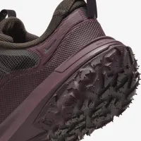 Nike ACG Mountain Fly 2 Low GORE-TEX чоловічі Кросівки колір коричневий