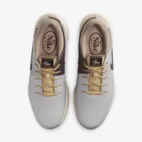 Nike Air Zoom Victory Tour 3 NRG для гольфу Кросівки колір сірий