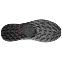 Кросівки для бігу Чоловічі Salomon SENSE RIDE 5 GTX Gore-Tex (471472)