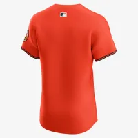Baltimore Orioles мужские Nike Dri-FIT ADV MLB Elite Jersey Orange