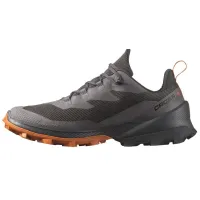 Кросівки для трекінгу SALOMON CROSS OVER 2 GTX Gore-Tex (472650)