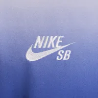 Nike SB Long-Sleeve Skate футболка колір білий