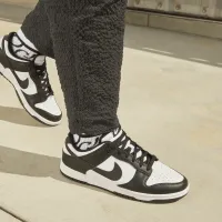 Nike Dunk Low Retro мужские Кроссовки цвет белый