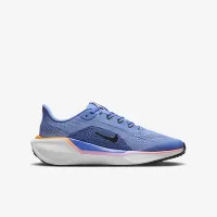 Nike Pegasus 41 Big детские Road Running Кроссовки синий