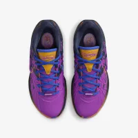 Nike LeBron XXI SE 