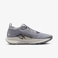 Nike Pegasus Trail 5 GORE-TEX чоловічі Waterproof Trail Running Кросівки колір сірий