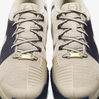 Nike GP Challenge 1 Premium мужские Hard Court Tennis Кроссовки цвет коричневый