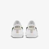 Nike SB Zoom Blazer Low Pro GT Skate Кросівки колір білий