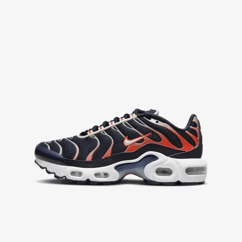 Nike Air Max Plus Big дитячі Кросівки блакитний