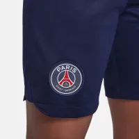 Paris Saint-Germain 2023/24 Stadium Home/Away Big дитячі Nike Dri-FIT Soccer шорти блакитний