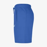 UCLA мужские Nike College шорты синий