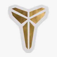 Nike Kobe IX Big дитячі баскетбольні Кросівки колір сірий