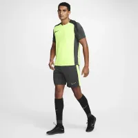Nike Dri-FIT Academy чоловічі Dri-FIT Soccer шорти колір сірий
