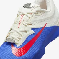 Nike Vapor Pro 3 Premium мужские Hard Court Tennis Кроссовки цвет фиолетовый