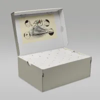 Nike Jordan Stadium 90 чоловічі Кросівки колір білий
