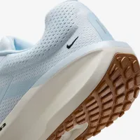 Nike Winflo 11 мужские Road Running Кроссовки цвет белый