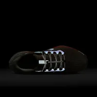 Nike Pegasus 41 Premium чоловічі Road Running Кросівки колір коричневий