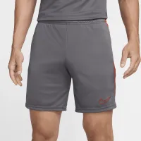 Nike Dri-FIT Academy чоловічі Dri-FIT Soccer шорти колір сірий