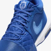Nike LeBron Witness 8 баскетбольні Кросівки блакитний
